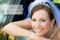 Little Tree Wedding Photography 1093078 Image 5
